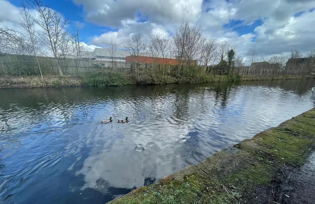 Marine Viewing 2 Bedrooms Flat-1